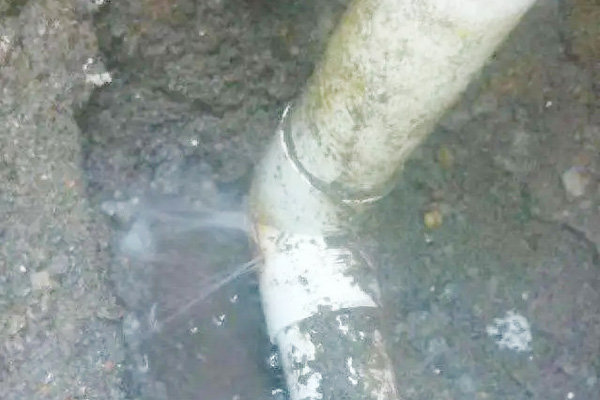 漏水檢測器